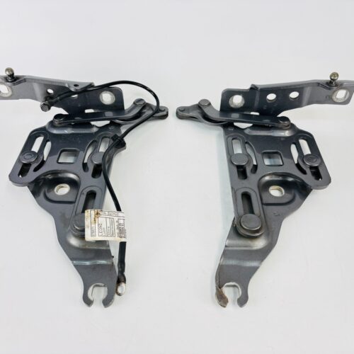 Bisagras capo BMW X6 714834710 - #971123 - Foto 1