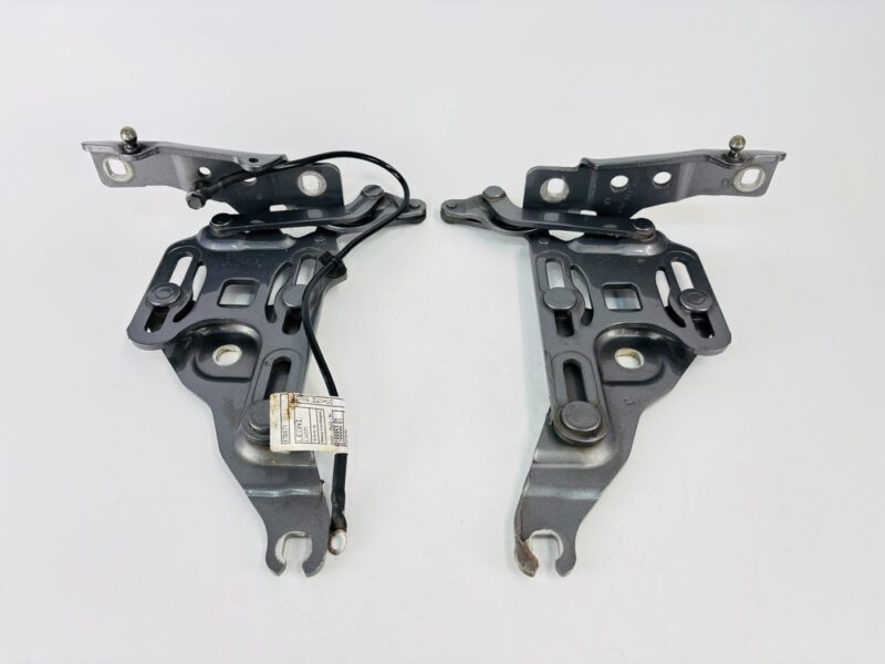 Bisagras capo BMW X6 714834710 - #971123 - Foto 1