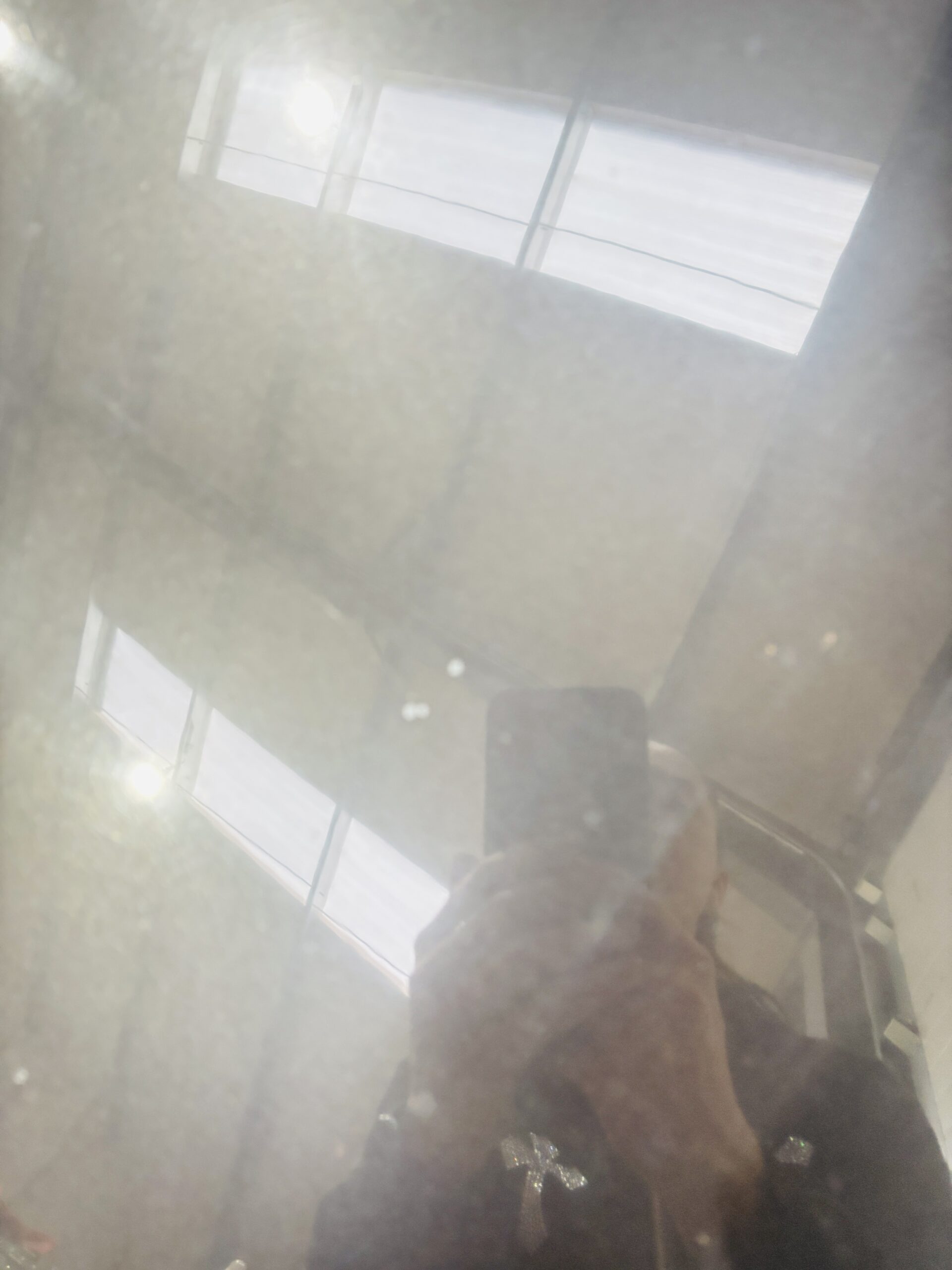 Capó BMW Serie 7 41617204514 9 Capó BMW Serie 7 41617204514 - Imagen 9