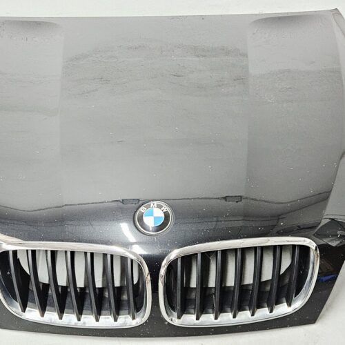Capó BMW X5 E70 2010-2013 7486754