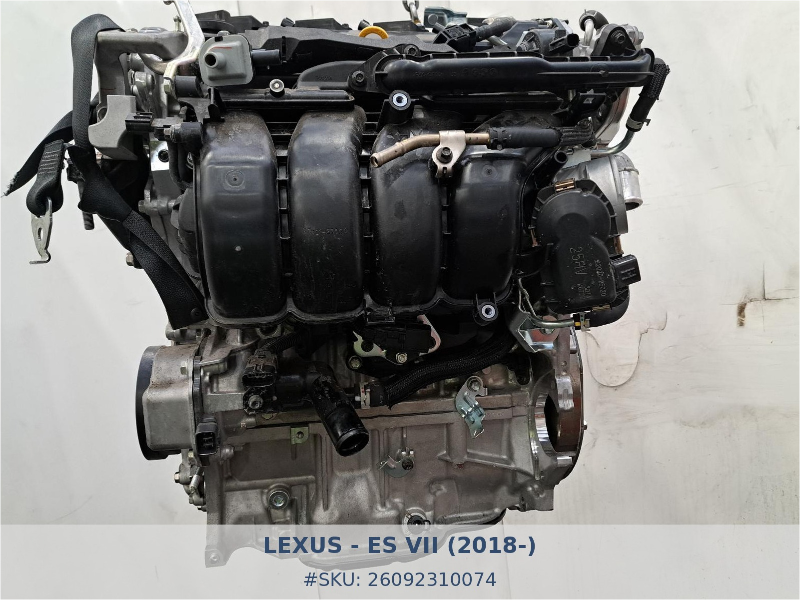 Motor Lexus Es 300h A25AFXS - Foto 2 26092310074 motor lexus es 300h a25afxs #2 - SKU: 26092310074